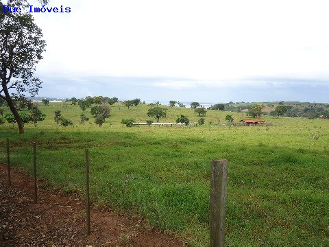 Fazenda à venda com 8 quartos, 1000m² - Foto 38