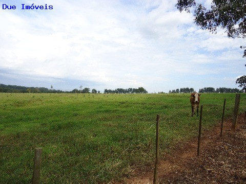 Fazenda à venda com 8 quartos, 1000m² - Foto 39