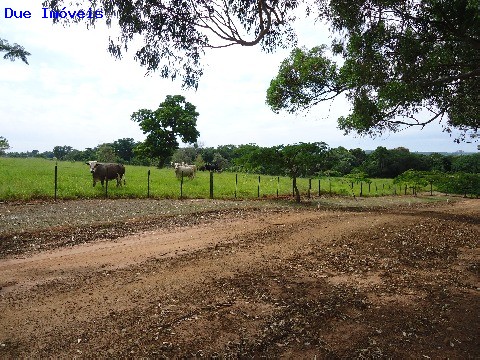 Fazenda à venda com 8 quartos, 1000m² - Foto 40