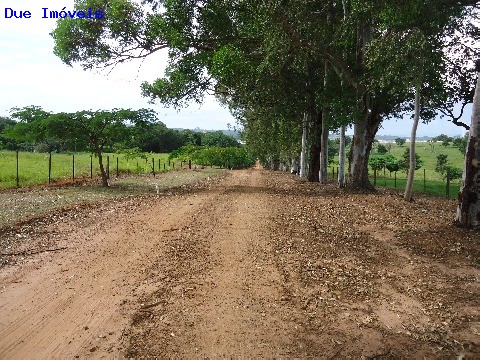 Fazenda à venda com 8 quartos, 1000m² - Foto 41