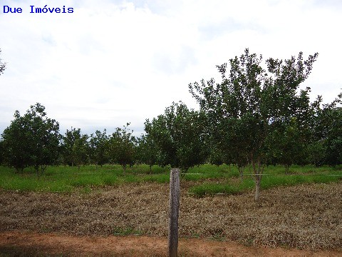 Fazenda à venda com 8 quartos, 1000m² - Foto 42