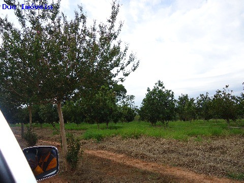 Fazenda à venda com 8 quartos, 1000m² - Foto 43