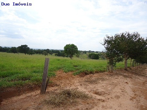 Fazenda à venda com 8 quartos, 1000m² - Foto 45