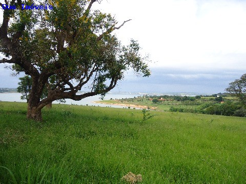 Fazenda à venda com 8 quartos, 1000m² - Foto 47