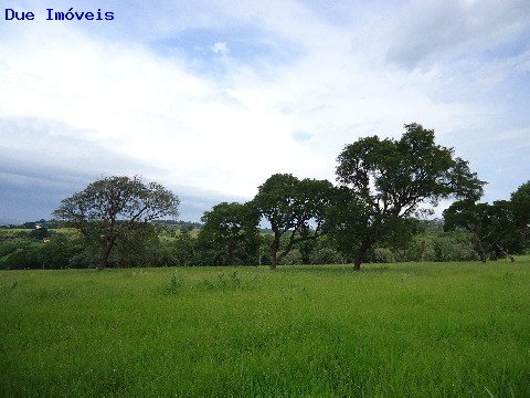 Fazenda à venda com 8 quartos, 1000m² - Foto 49