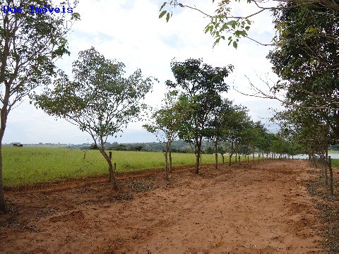 Fazenda à venda com 8 quartos, 1000m² - Foto 51