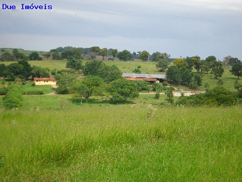 Fazenda à venda com 8 quartos, 1000m² - Foto 55