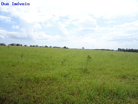 Fazenda à venda com 8 quartos, 1000m² - Foto 57