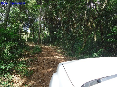 Fazenda à venda com 8 quartos, 1000m² - Foto 58