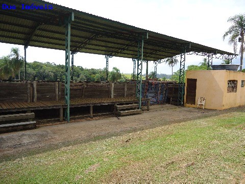 Fazenda à venda com 8 quartos, 1000m² - Foto 60