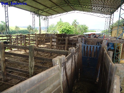 Fazenda à venda com 8 quartos, 1000m² - Foto 61