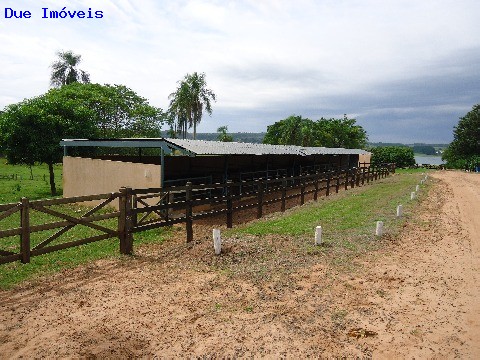 Fazenda à venda com 8 quartos, 1000m² - Foto 62