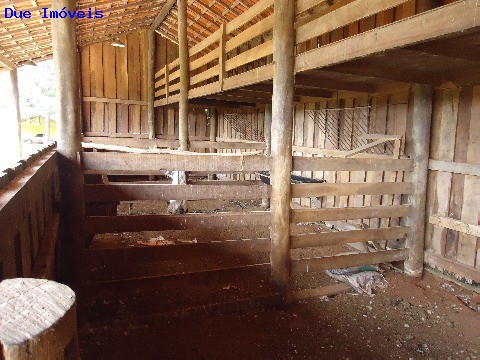 Fazenda à venda com 8 quartos, 1000m² - Foto 65