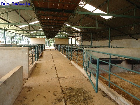 Fazenda à venda com 8 quartos, 1000m² - Foto 67