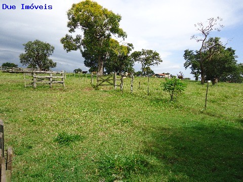 Fazenda à venda com 8 quartos, 1000m² - Foto 68