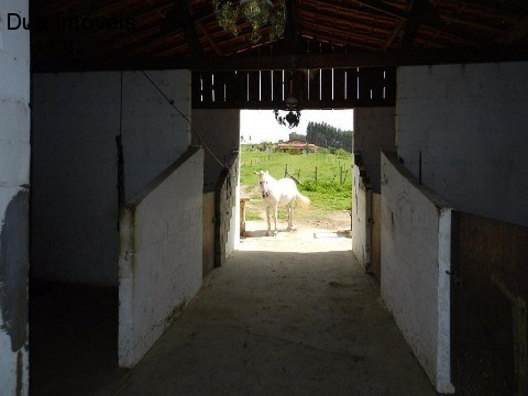 Haras e Área Rural Padrão à venda com 4 quartos, 80828m² - Foto 25