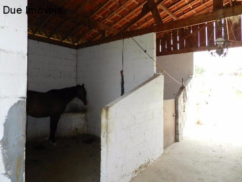 Haras e Área Rural Padrão à venda com 4 quartos, 80828m² - Foto 26