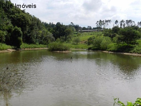 Haras e Área Rural Padrão à venda com 4 quartos, 80828m² - Foto 30