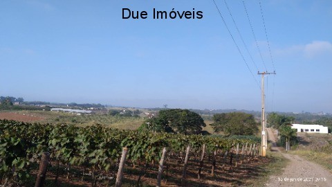 Terreno, 2 hectares - Foto 5