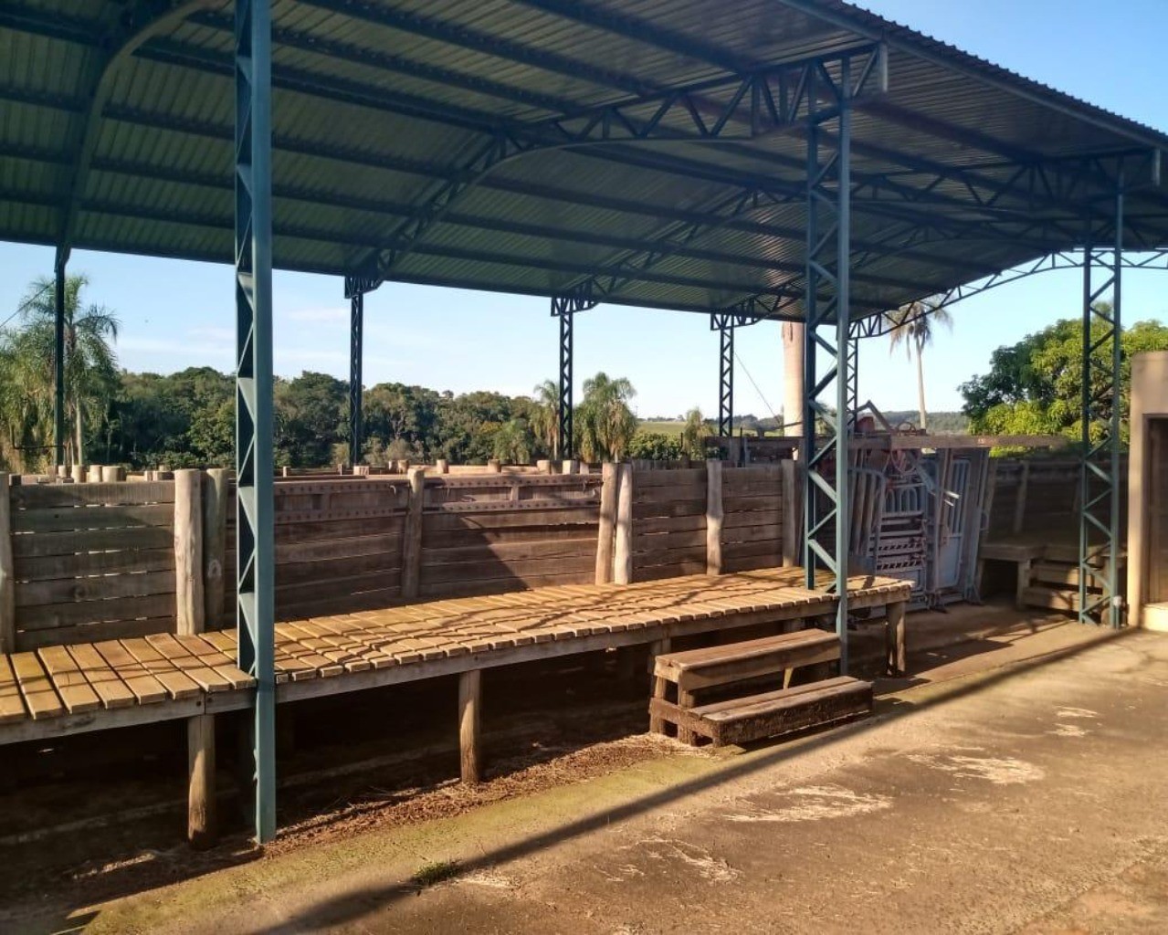 Fazenda à venda com 8 quartos, 1000m² - Foto 79