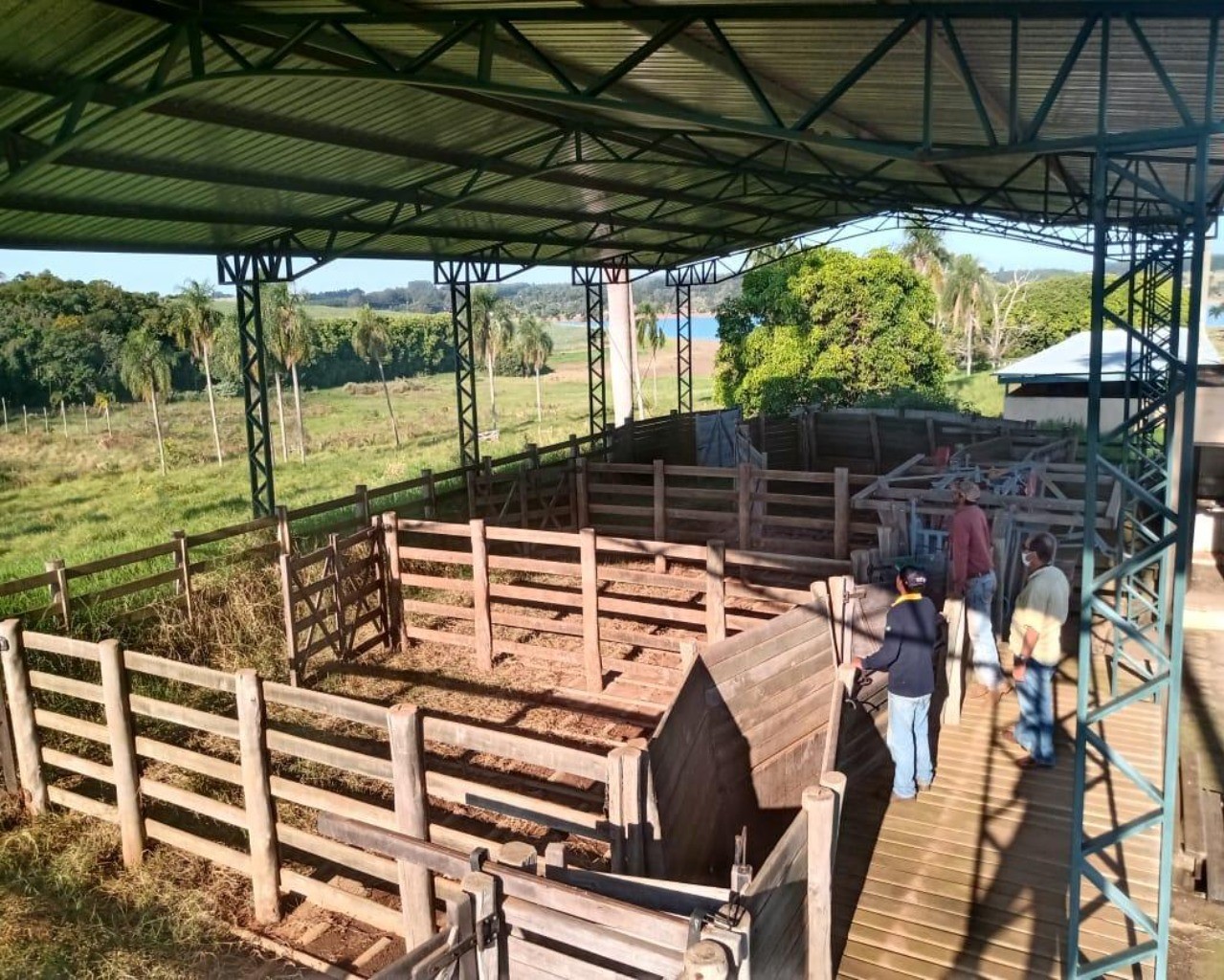 Fazenda à venda com 8 quartos, 1000m² - Foto 78