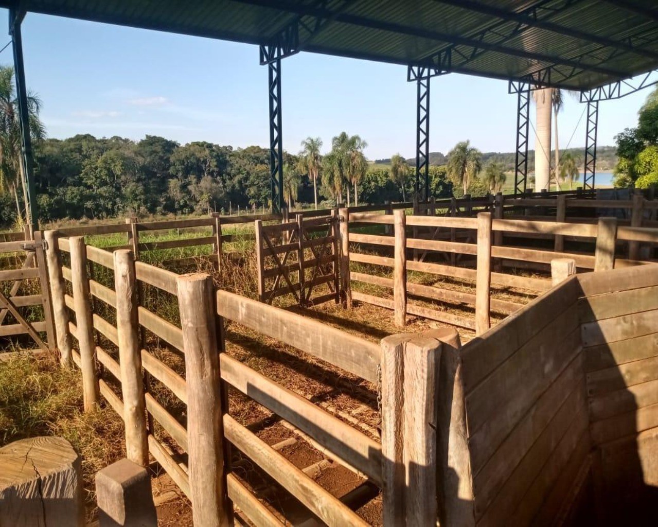 Fazenda à venda com 8 quartos, 1000m² - Foto 80