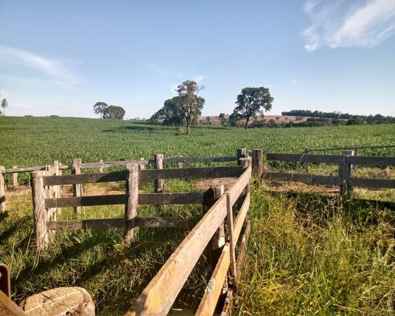 Fazenda à venda com 8 quartos, 1000m² - Foto 74