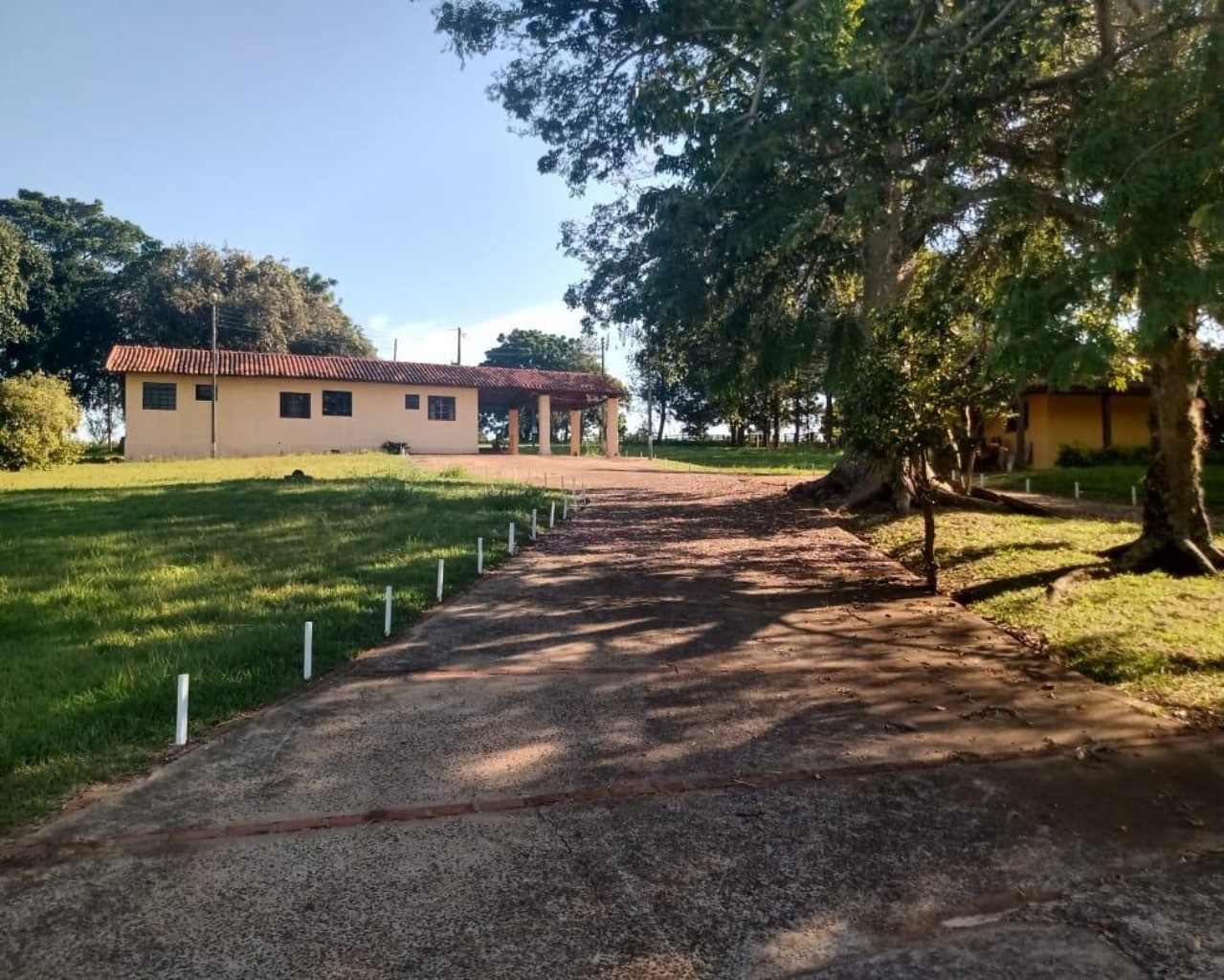 Fazenda à venda com 8 quartos, 1000m² - Foto 81