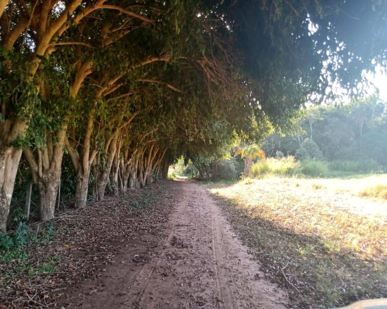 Fazenda à venda com 8 quartos, 1000m² - Foto 73