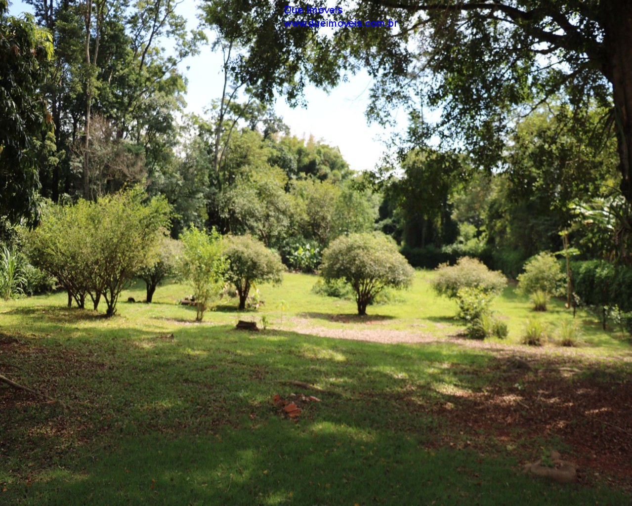 Fazenda à venda com 5 quartos, 500m² - Foto 32