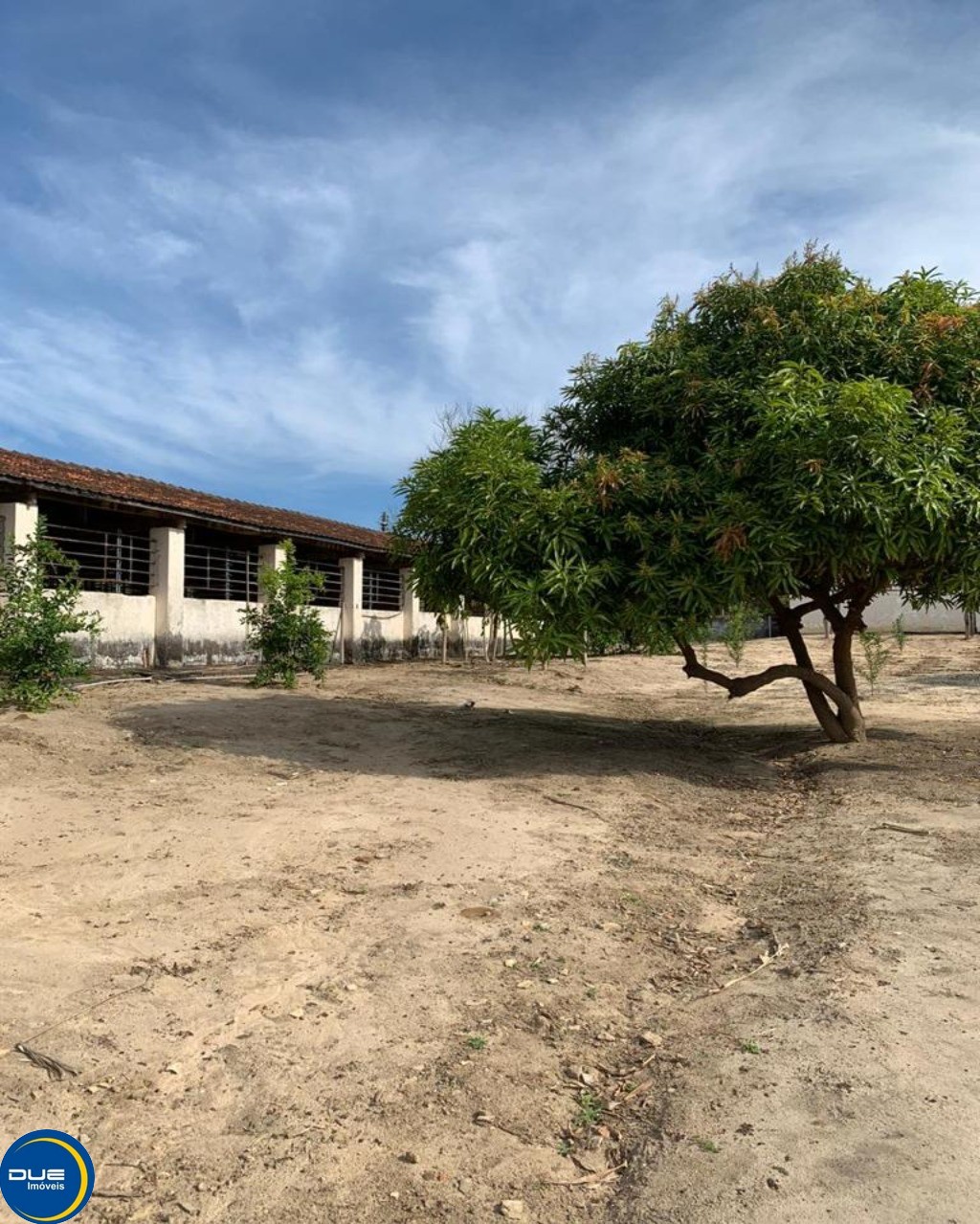 Fazenda à venda com 4 quartos, 36800m² - Foto 36