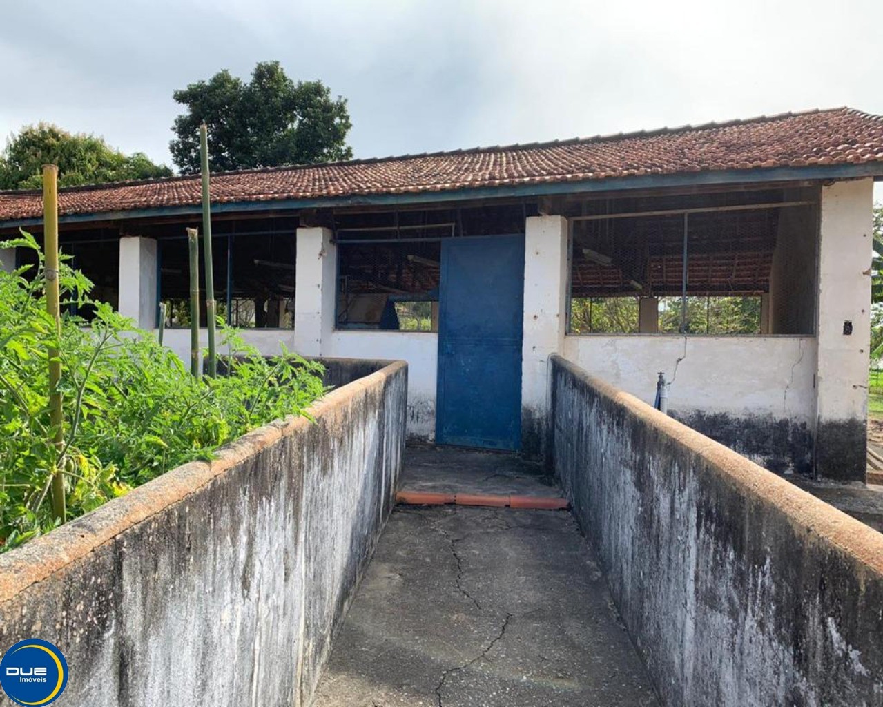 Fazenda à venda com 4 quartos, 36800m² - Foto 38