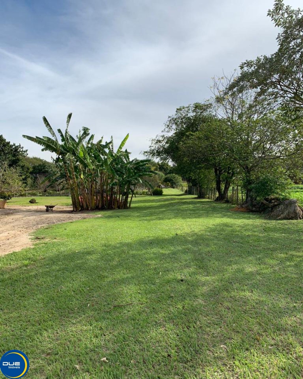 Fazenda à venda com 4 quartos, 36800m² - Foto 37