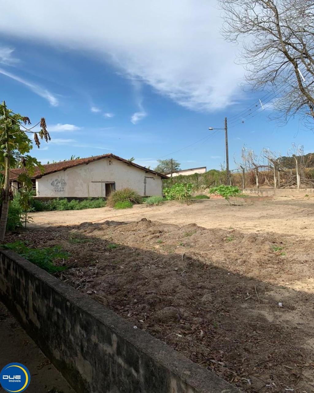 Fazenda à venda com 4 quartos, 36800m² - Foto 34