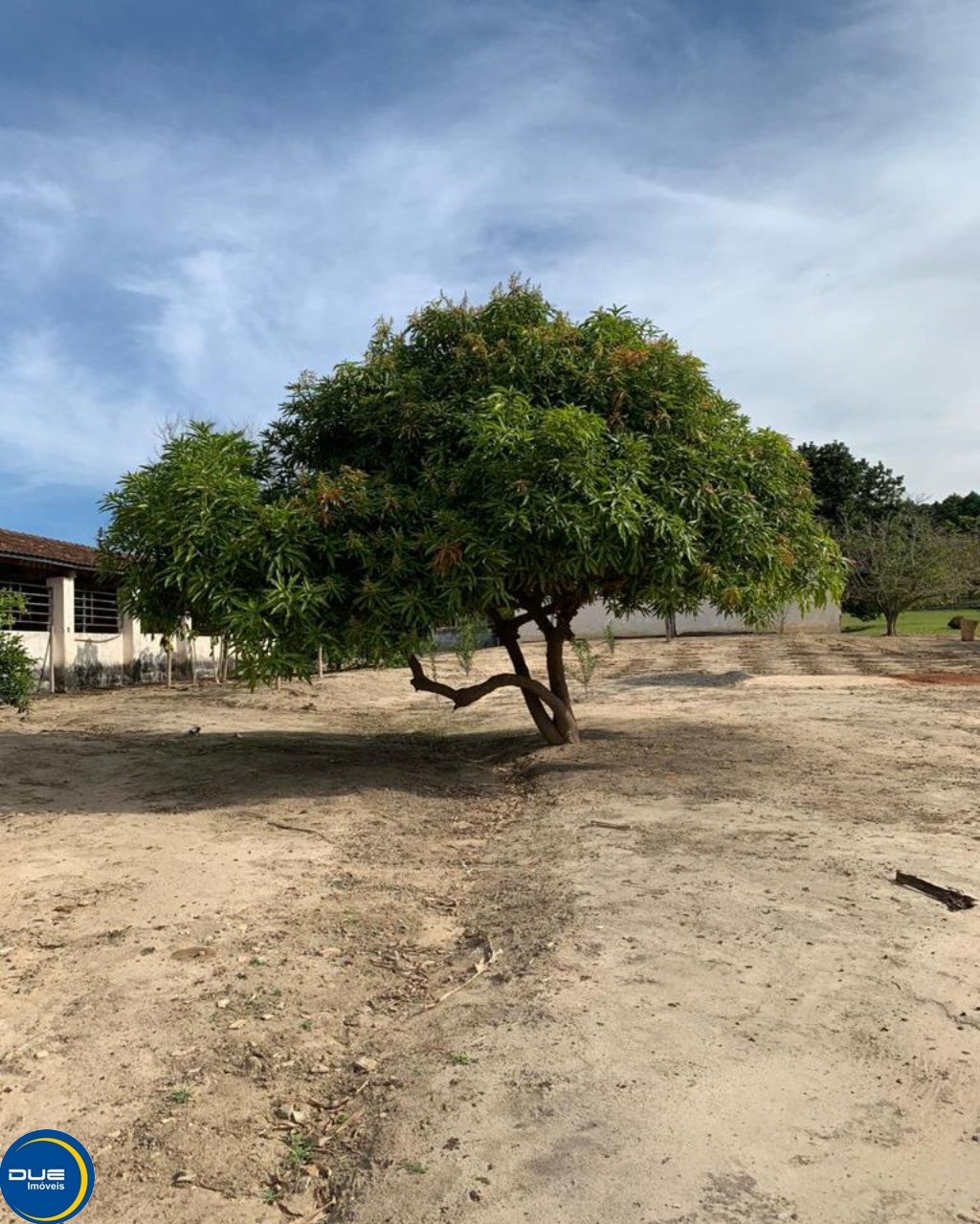 Fazenda à venda com 4 quartos, 36800m² - Foto 31