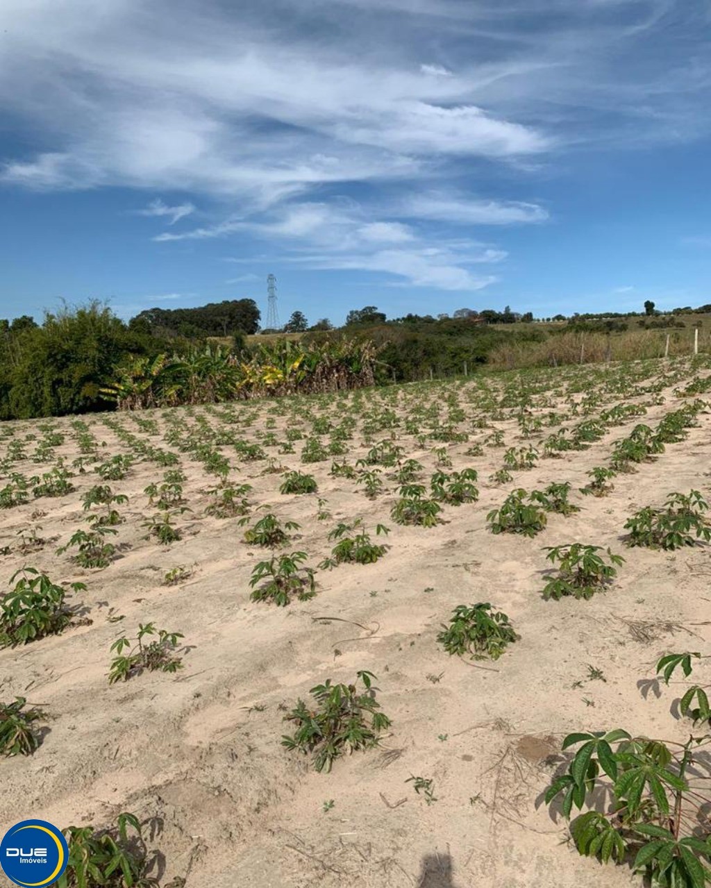 Fazenda à venda com 4 quartos, 36800m² - Foto 39