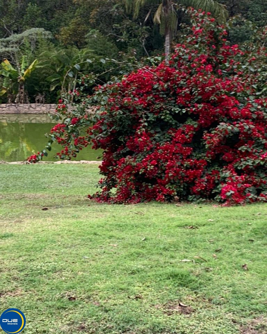 Fazenda à venda com 4 quartos, 36800m² - Foto 62