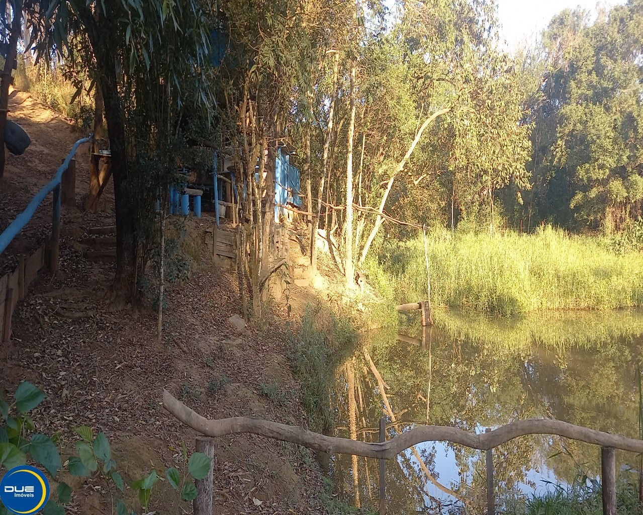 Fazenda à venda com 3 quartos, 8m² - Foto 1