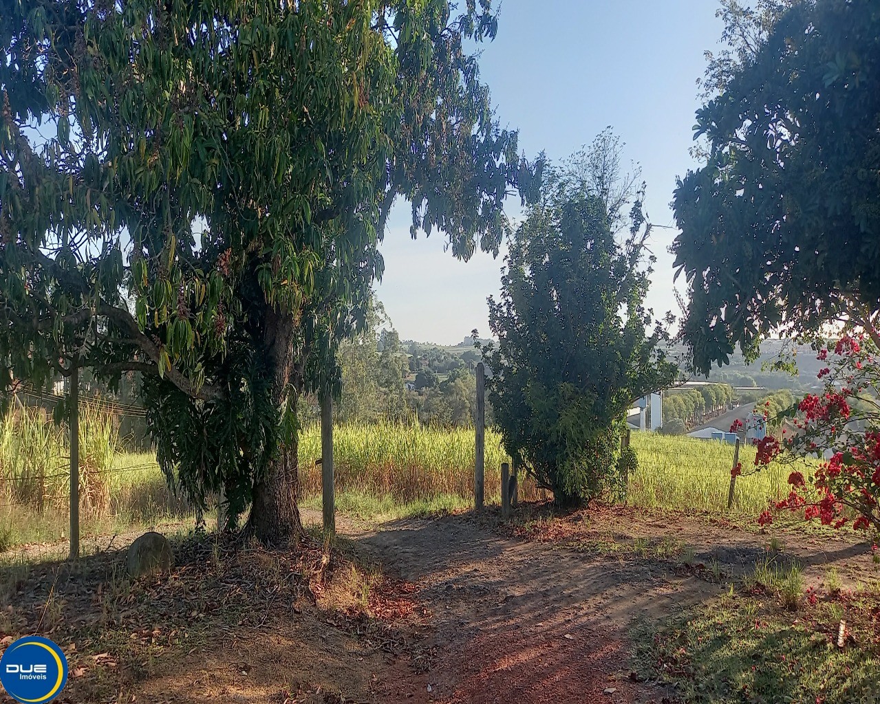 Fazenda à venda com 3 quartos, 8m² - Foto 3