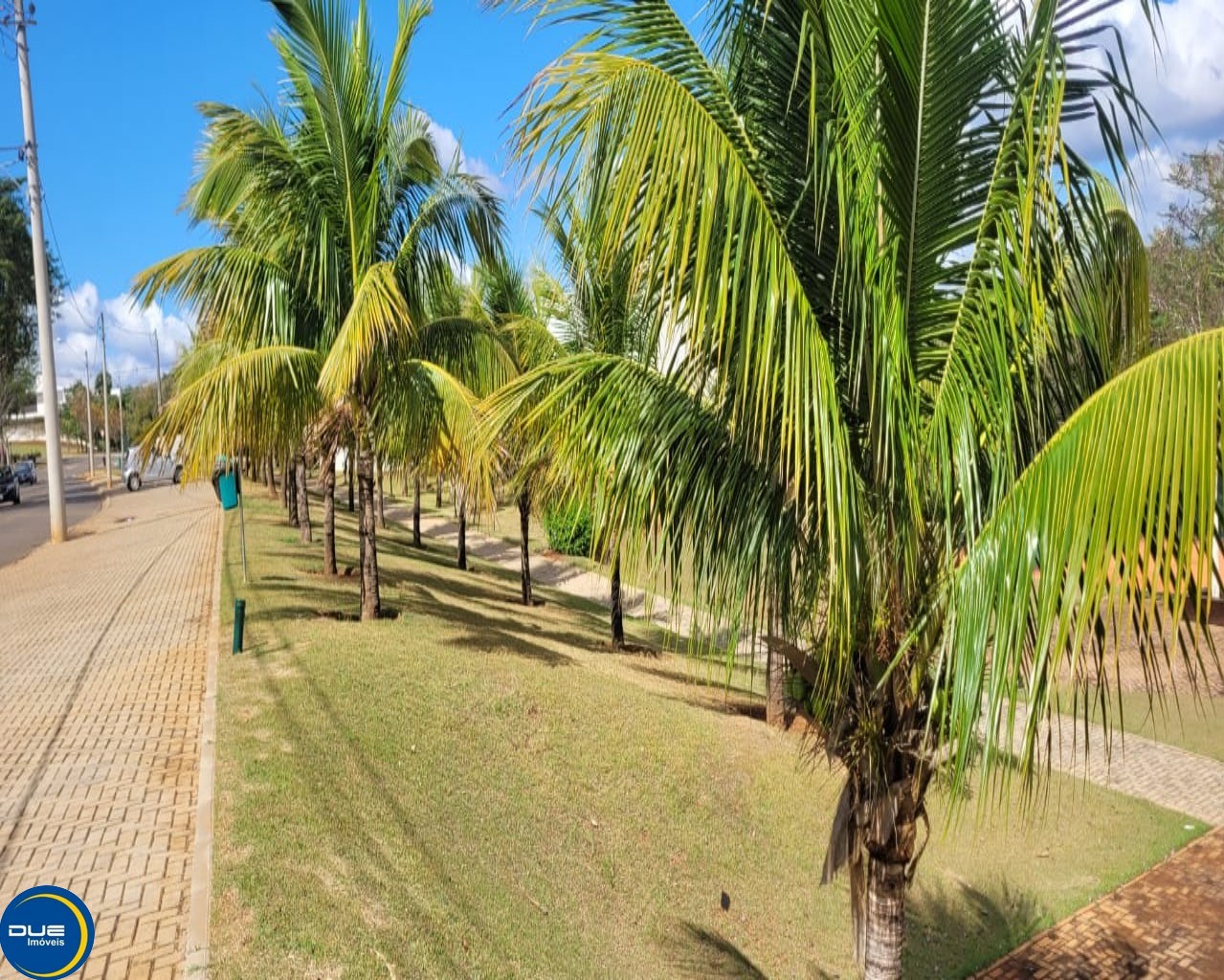 Casa à venda com 3 quartos - Foto 6