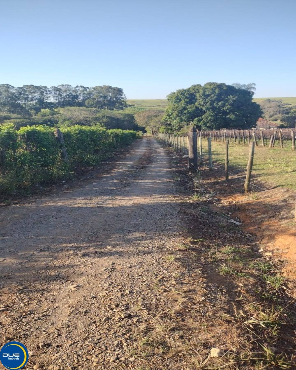 Fazenda à venda com 3 quartos, 8m² - Foto 16