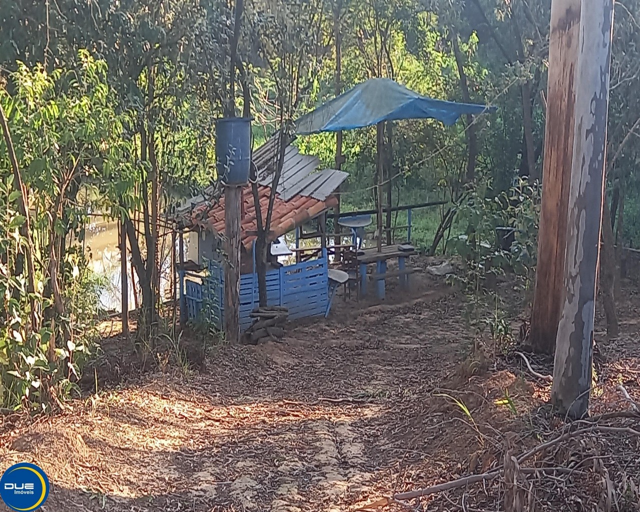 Fazenda à venda com 3 quartos, 8m² - Foto 15