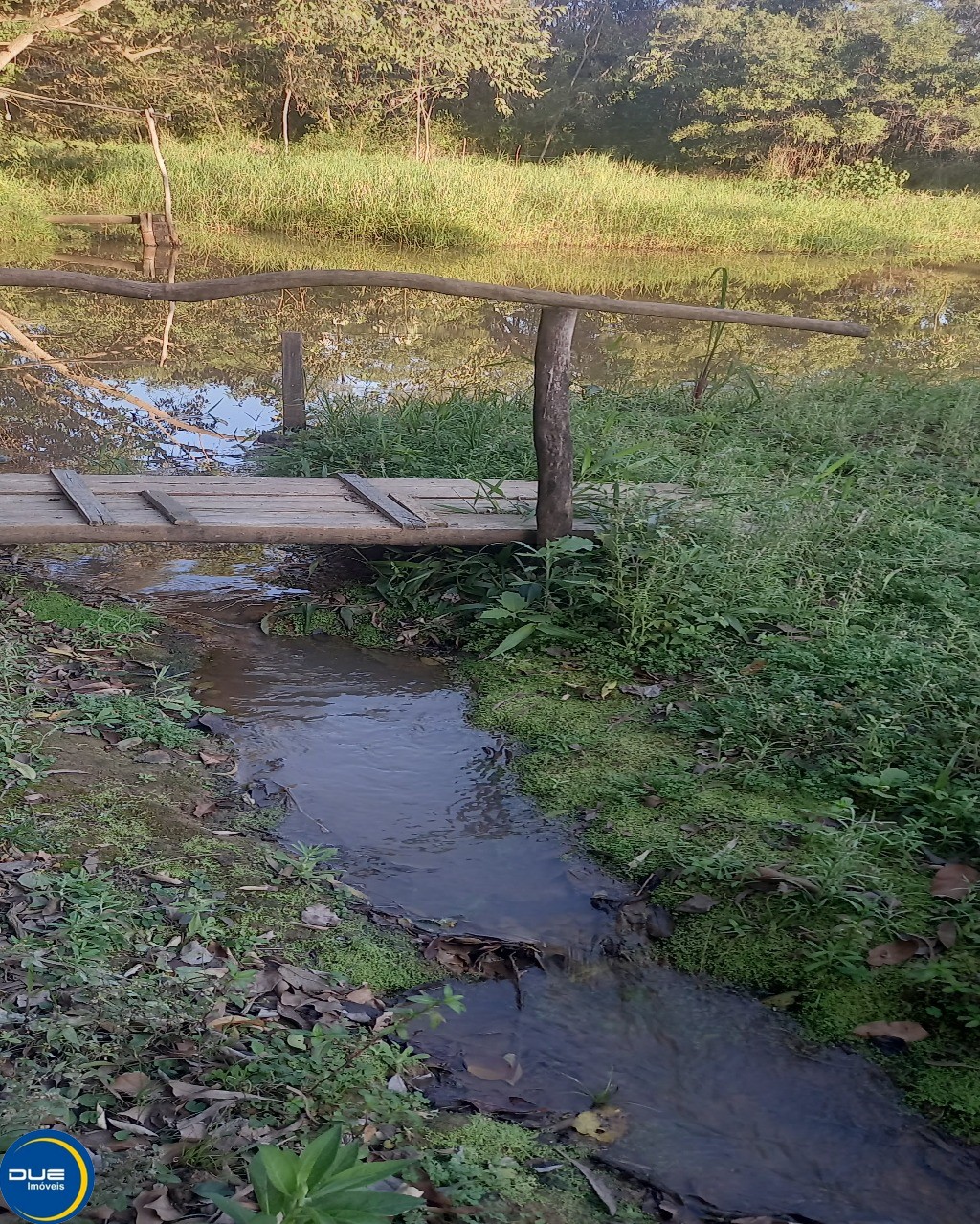 Fazenda à venda com 3 quartos, 8m² - Foto 13