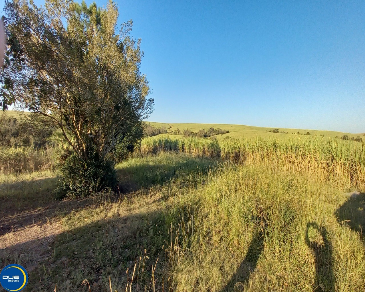 Fazenda à venda com 3 quartos, 8m² - Foto 11