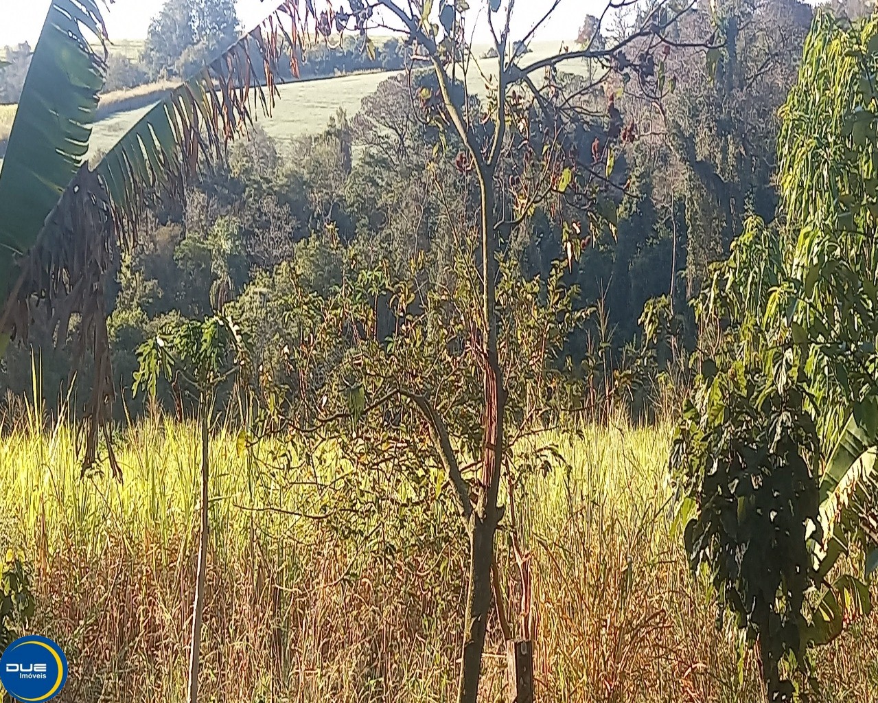 Fazenda à venda com 3 quartos, 8m² - Foto 9