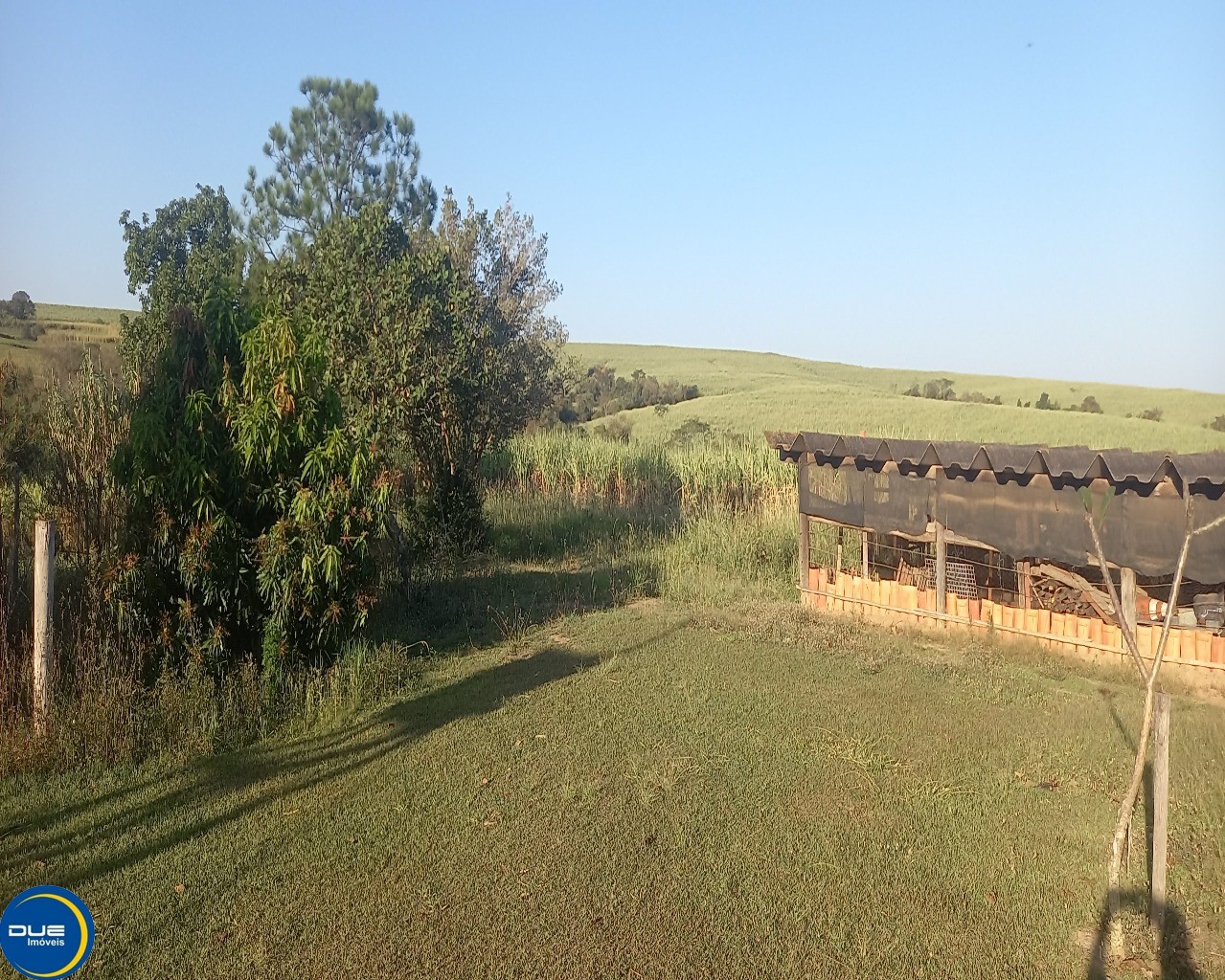 Fazenda à venda com 3 quartos, 8m² - Foto 5