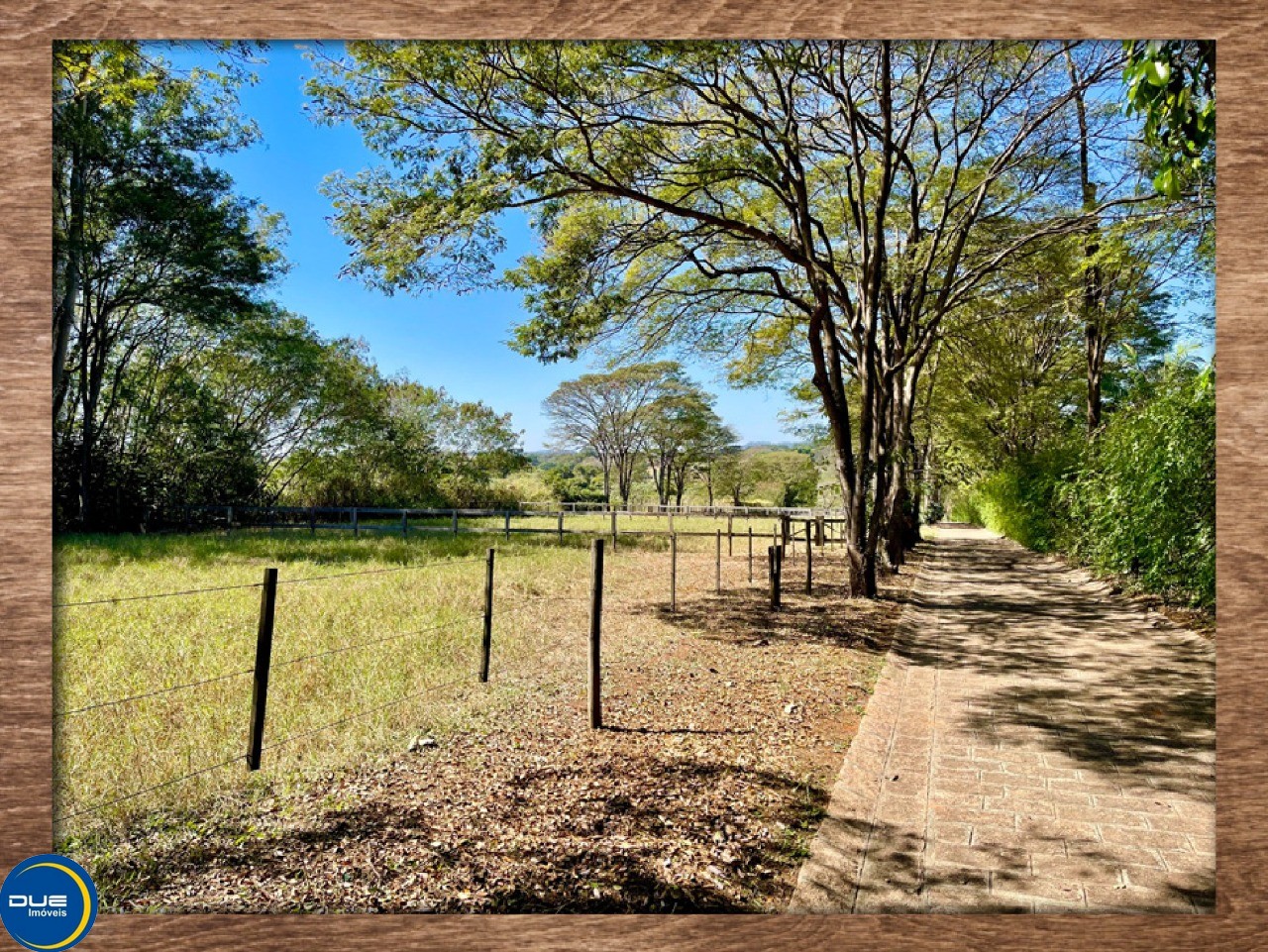 Haras e Área Rural Padrão à venda com 3 quartos, 29205m² - Foto 3