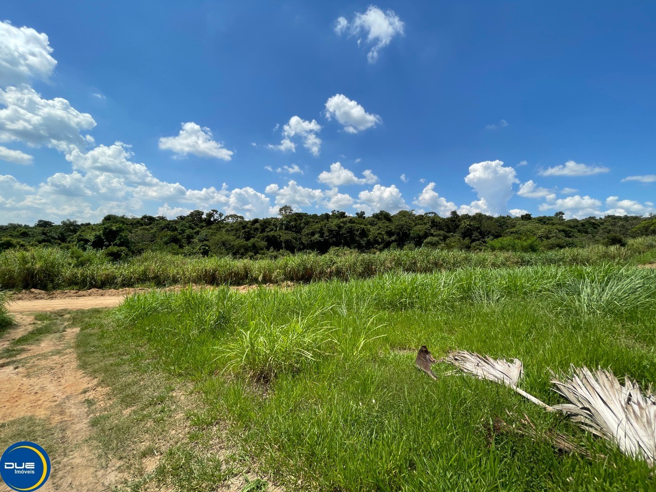 Fazenda à venda, 1600m² - Foto 6