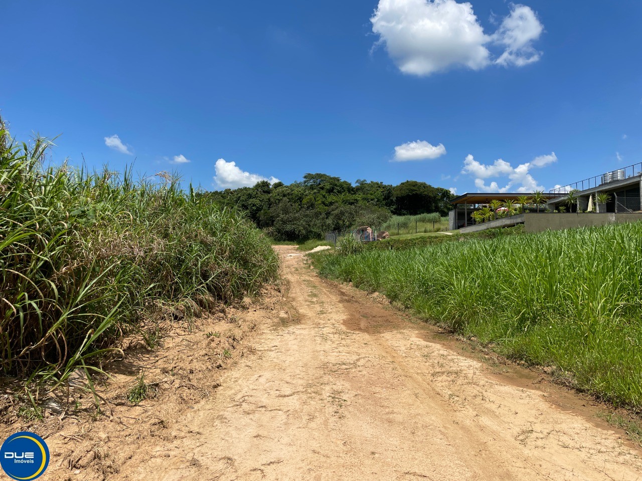 Fazenda à venda, 1600m² - Foto 3