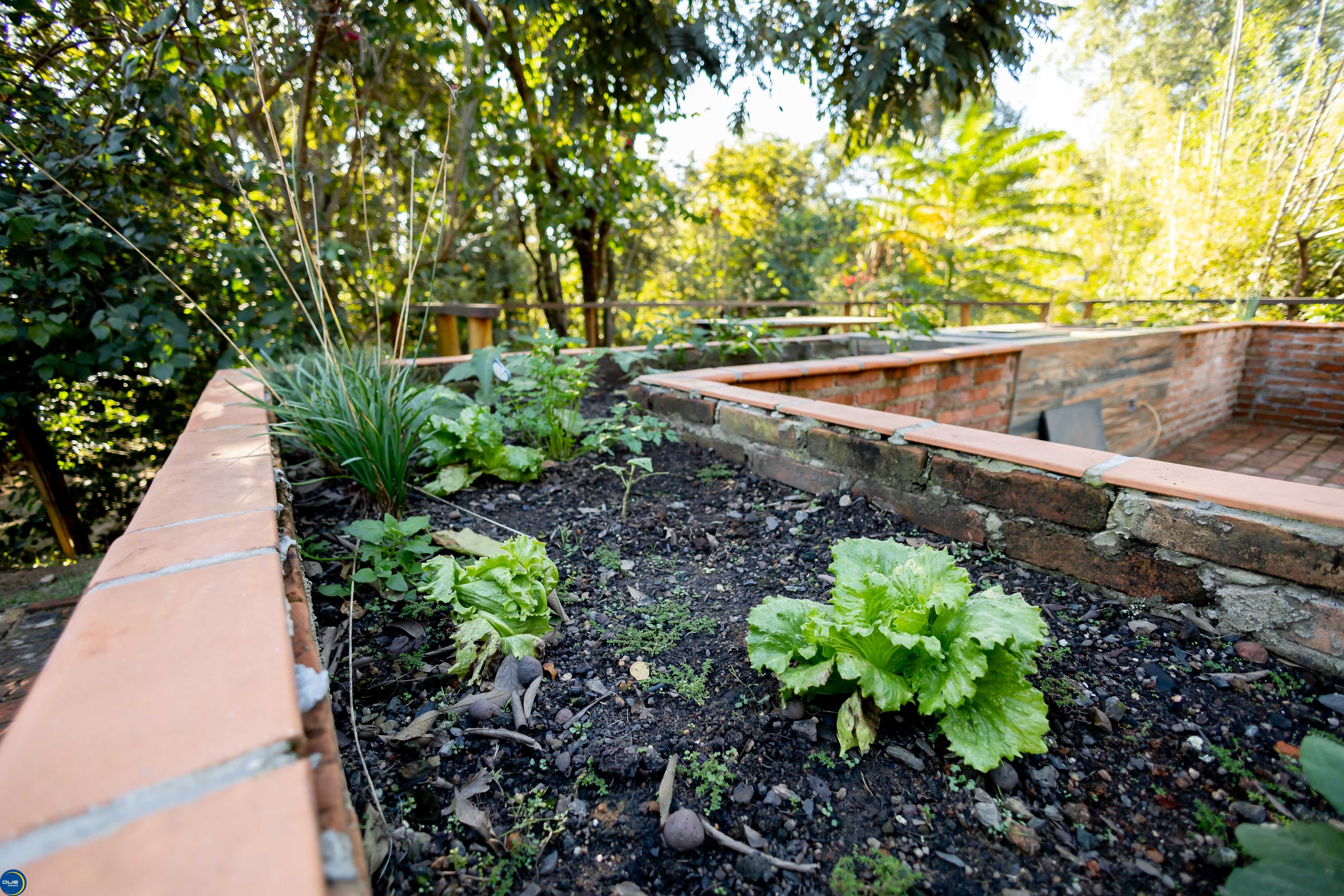 Fazenda à venda e aluguel com 3 quartos, 400m² - Foto 18